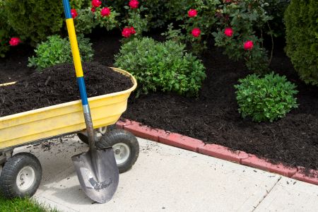 Top Benefits of Professional Mulching Services for Florida Lawns