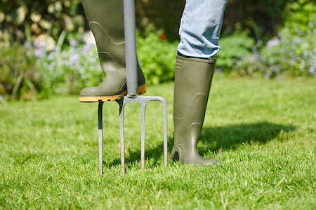 Fall Lawn Care in Jacksonville: Preparing for Cooler Weather