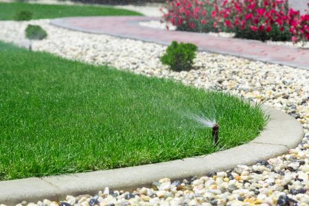 How to Keep Your Jacksonville Lawn Green During Florida's Hottest Months