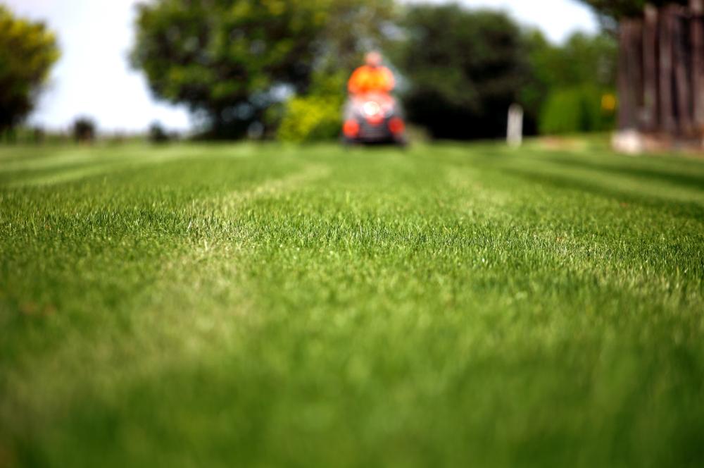 Lawn mowing jacksonville fl